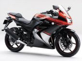 2013 Kawasaki Ninja 250R Special Edition photo